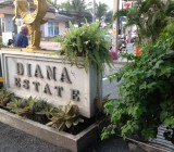 ขายคอนโดไดอน่า (DAIANA CONDO )(ขายแล้ว) 0