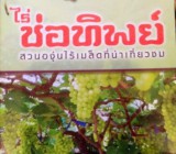 สินค้าขายแล้ว ที่ดินปากข่องพร้อมกิจการไร่ช่อทิพย์ เนื้อที่49ไร่เศษ แถมกิจการไร่องุ่น 