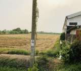 ขายที่ดินไทรน้อย จ.นนทบุรี ซอยวัดลาดปลาดุก12ไร่