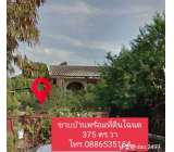 ขายที่ดินเมืองพิษณุโลก 375วา 0