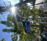 ขายที่ดินติดถนนวิภาวดีรังสิต7ไร่ ใกล้สนามบินดอนเมือง