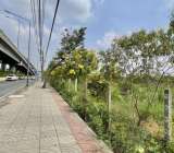 ขายที่ดินติดถนนวิภาวดีรังสิต7ไร่ฝั่งสนามบินดอนเมือง