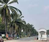 ขายที่ดินมีนบุรีถนนประชาร่วมใจ31กฤษดานคร718วา